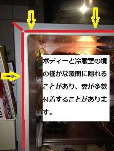 ゴキブリはこんな所に潜んでいる 冷蔵庫編 駆除倶楽部 茶色いハネ